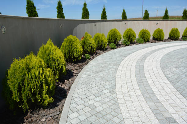 Best Interlocking Driveway Pavers  in Cumberland, MD